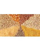 Grains-Anaj